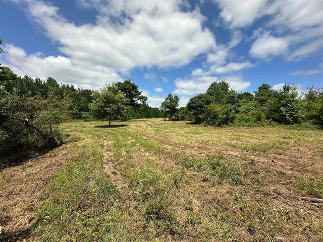 000 Tbd Butler Road Rd, Haworth, OK 74740