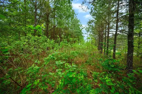 53 Pine Root Ct, Broken Bow, OK 74728 photo 7