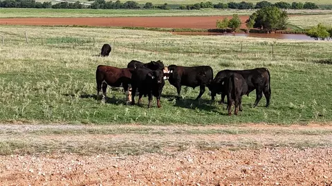 120 Th St, Wayne, OK 73095 photo 34