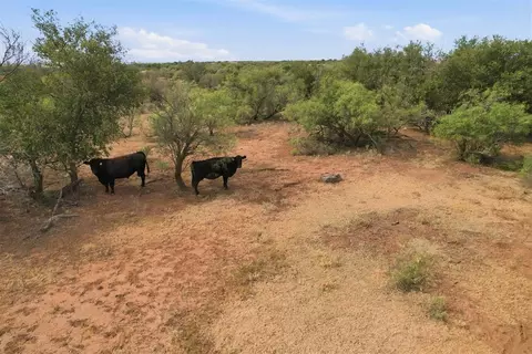 1850 N County Rd, Eldorado, OK 73537 photo 4