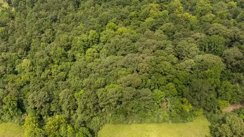 6 Chipmunk Rd, Broken Bow, OK 74728 photo 6