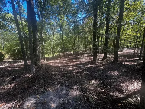 310 White Fox Ln, Broken Bow, OK 74728 photo 8