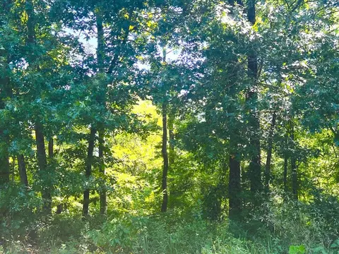 310 White Fox Ln, Broken Bow, OK 74728 photo 4