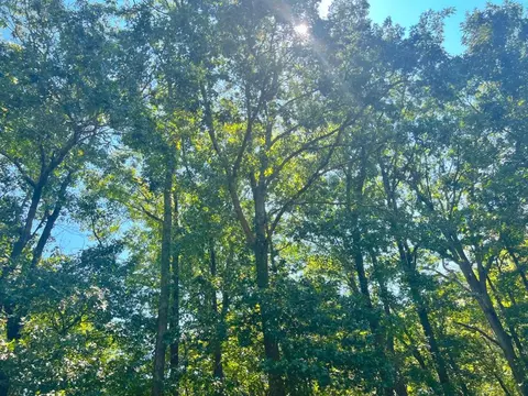 310 White Fox Ln, Broken Bow, OK 74728 photo 9