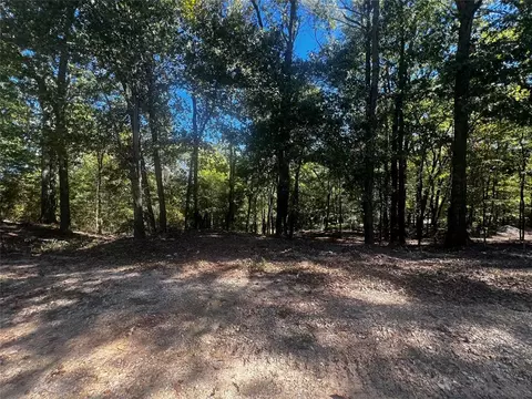 310 White Fox Ln, Broken Bow, OK 74728 photo 5