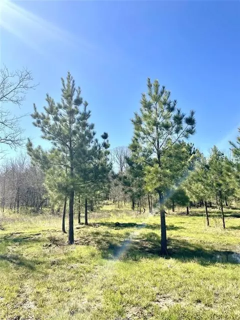 118 Hidden Pines Loop, Broken Bow, OK 74728 photo 3