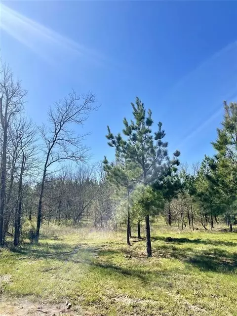 118 Hidden Pines Loop, Broken Bow, OK 74728 photo 5