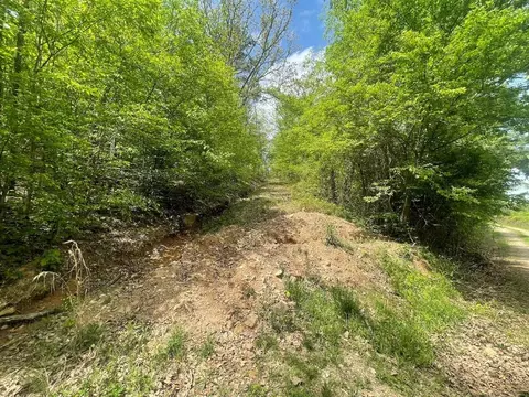 Other - 260 Box Elder Ln, Broken Bow, OK 74728 photo 4 of 10