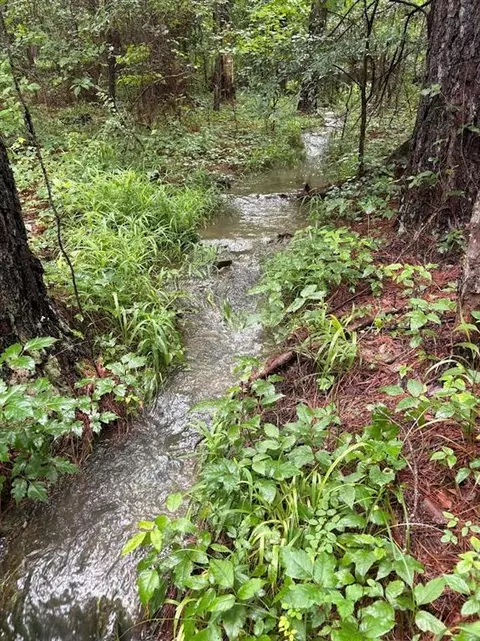 Other - 123 King Pine Ln, Broken Bow, OK 74728 photo 7 of 8