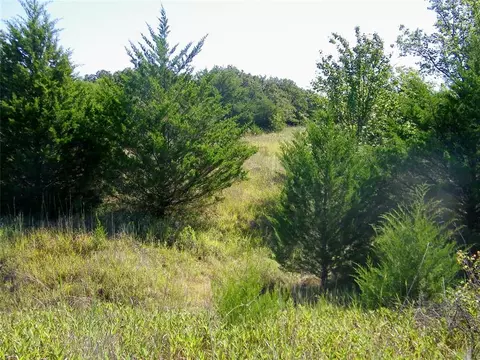 0 Highway 102, Macomb, OK 74852 photo 39