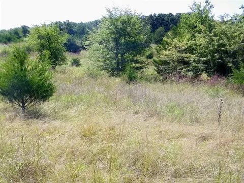 0 Highway 102, Macomb, OK 74852 photo 36