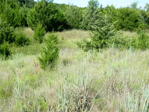 0 Highway 102, Macomb, OK 74852 photo 46
