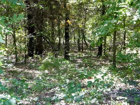 Howard Avenue, Macomb, OK 73051 photo 24