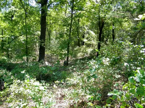 Howard Avenue, Macomb, OK 73051 photo 4