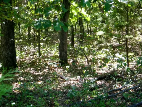 Howard Avenue, Macomb, OK 73051 photo 25