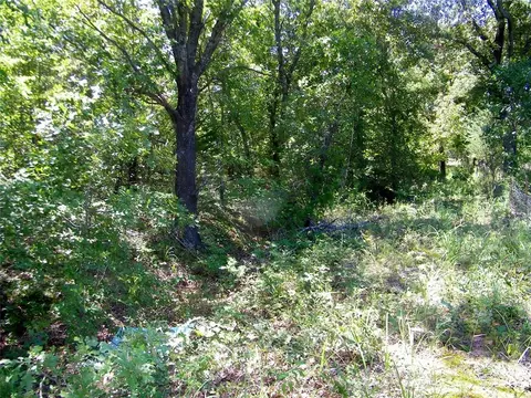 Howard Avenue, Macomb, OK 73051 photo 22
