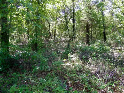 Howard Avenue, Macomb, OK 73051 photo 26