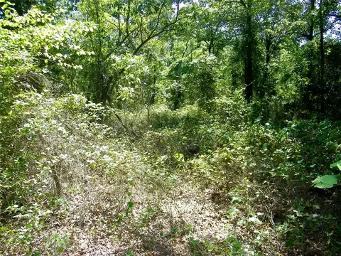 Howard Avenue, Macomb, OK 73051 photo 14