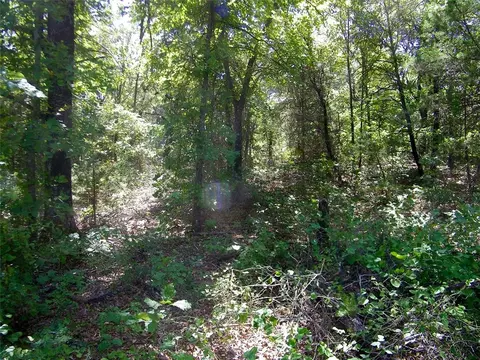 Howard Avenue, Macomb, OK 73051 photo 6