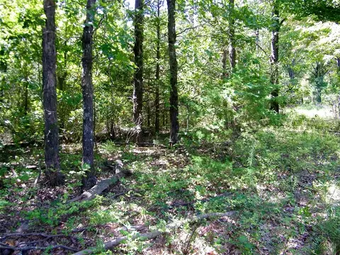 Howard Avenue, Macomb, OK 73051 photo 20