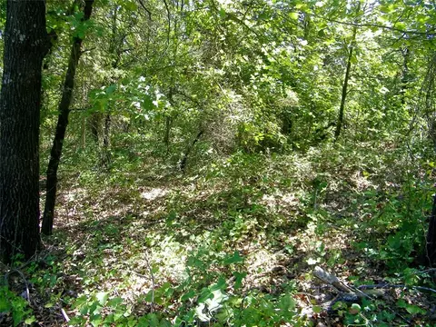 Howard Avenue, Macomb, OK 73051 photo 3