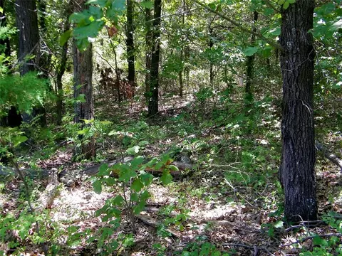 Howard Avenue, Macomb, OK 73051 photo 11