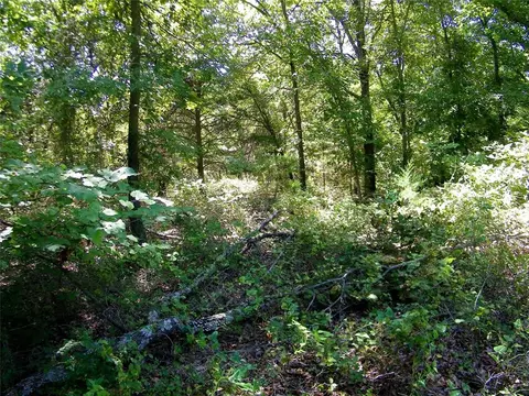 Howard Avenue, Macomb, OK 73051 photo 17