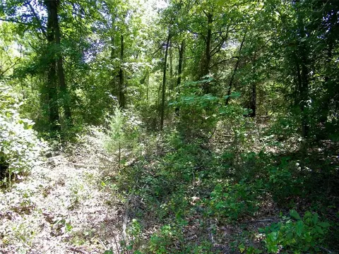 Howard Avenue, Macomb, OK 73051 photo 13
