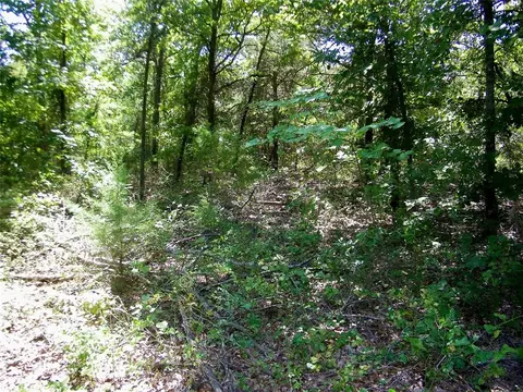 Howard Avenue, Macomb, OK 73051 photo 18