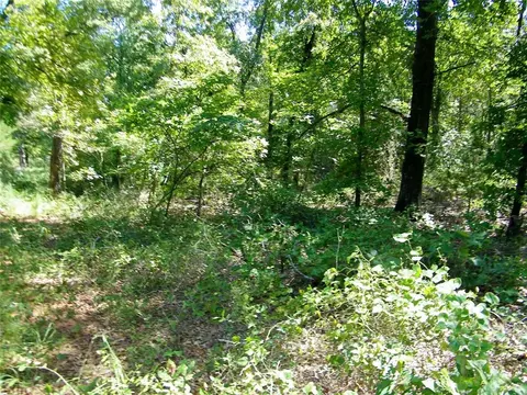 Howard Avenue, Macomb, OK 73051 photo 5