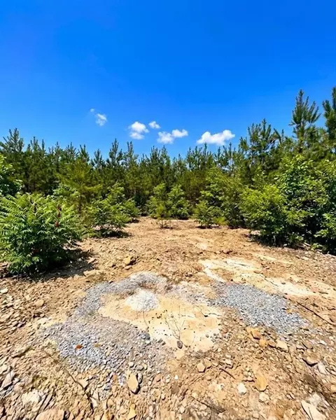 68 Southern Spruce Trl, Broken Bow, OK 74728 photo 2