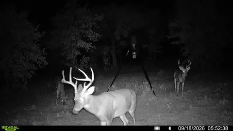 0000 E 1780 Rd, Duncan, OK 73533 photo 48