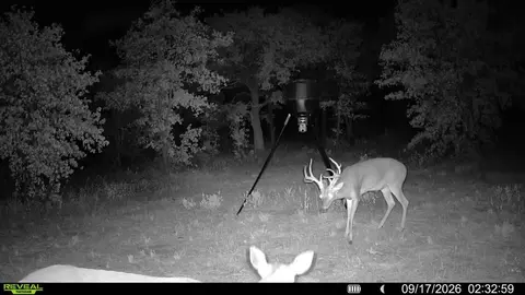 0000 E 1780 Rd, Duncan, OK 73533 photo 50