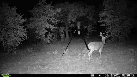 0000 E 1780 Rd, Duncan, OK 73533 photo 47