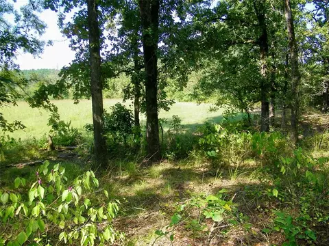 901 Sycamore Bend Loop, Broken Bow, OK 74728 photo 40
