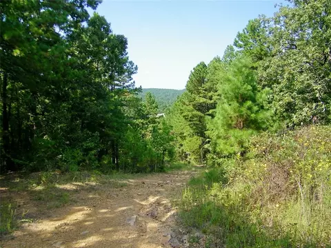 901 Sycamore Bend Loop, Broken Bow, OK 74728 photo 48