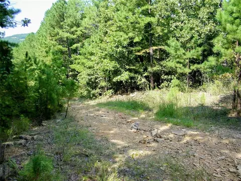 901 Sycamore Bend Loop, Broken Bow, OK 74728 photo 49