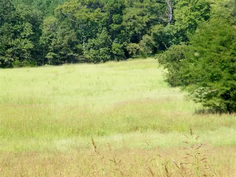 901 Sycamore Bend Loop, Broken Bow, OK 74728 photo 26