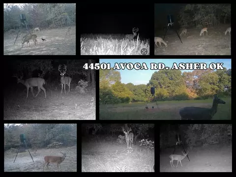 Other - 44501 Avoca Rd, Asher, OK 74826 photo 11 of 11
