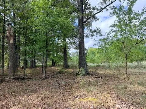 Deer Valley Circle Circle, Broken Bow, OK 74728 photo 18