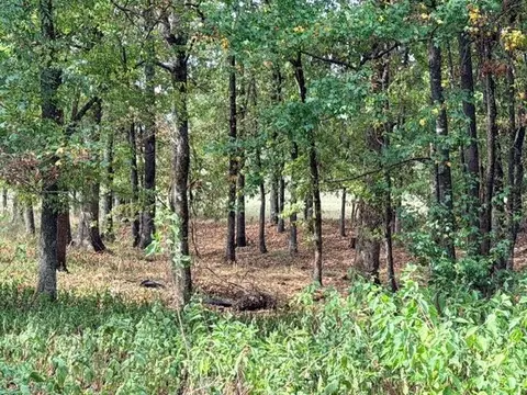 Deer Valley Circle Circle, Broken Bow, OK 74728 photo 20