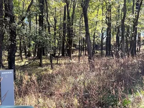 Deer Valley Circle Circle, Broken Bow, OK 74728 photo 3