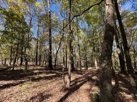 Deer Valley Circle Circle, Broken Bow, OK 74728 photo 11