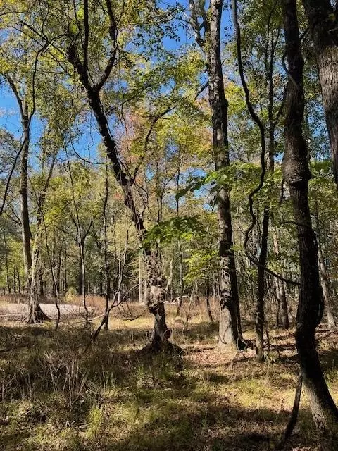 Deer Valley Circle Circle, Broken Bow, OK 74728 photo 12