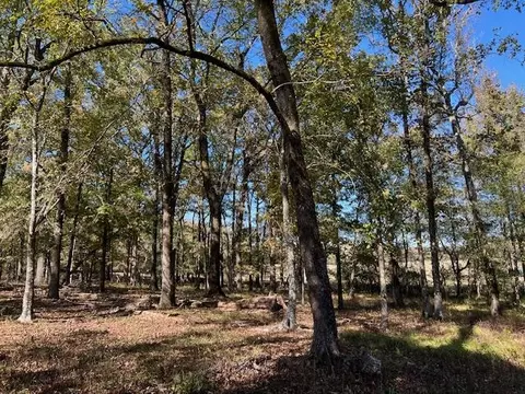 Deer Valley Circle Circle, Broken Bow, OK 74728 photo 14