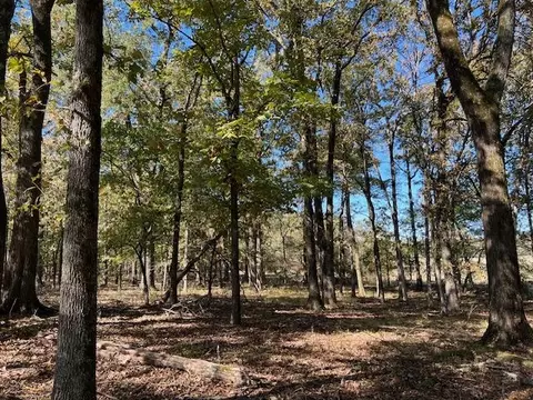 Deer Valley Circle Circle, Broken Bow, OK 74728 photo 15