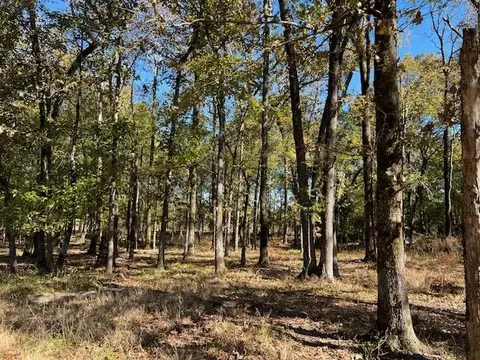 Deer Valley Circle Circle, Broken Bow, OK 74728 photo 9