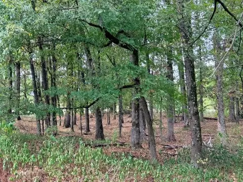 Deer Valley Circle Circle, Broken Bow, OK 74728 photo 19
