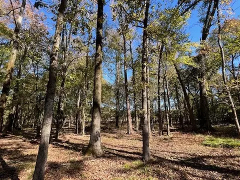 Deer Valley Circle Circle, Broken Bow, OK 74728 photo 10