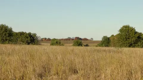 1700 Road Rd, Roff, OK 74865 photo 37